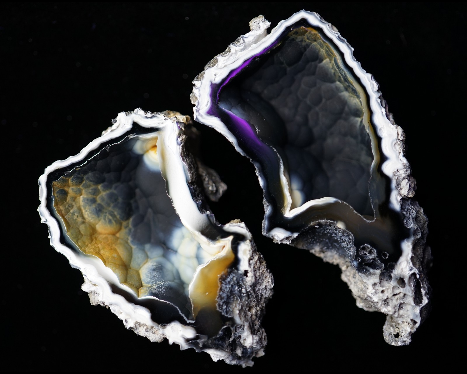 Agatized Coral Head Geode Pair RARE Druzy Specimen Cut & Polished UV-Reactive