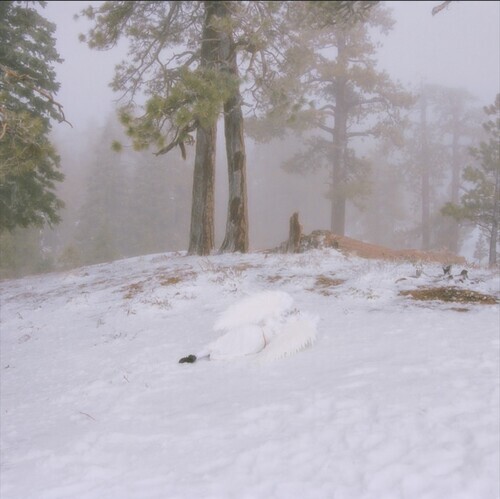 PRE-ORDER WISP - Pandora [New CD] Extended Play