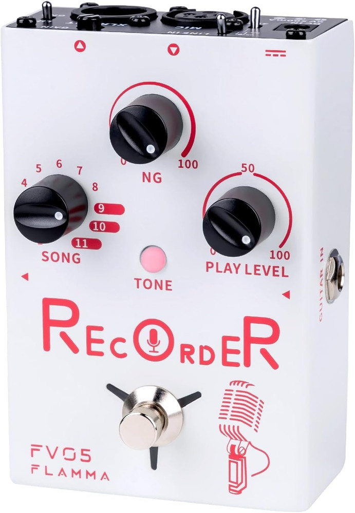 FV05 Recorder Vocal Effects Processor with 70 Minutes Recording Capacity Noise G