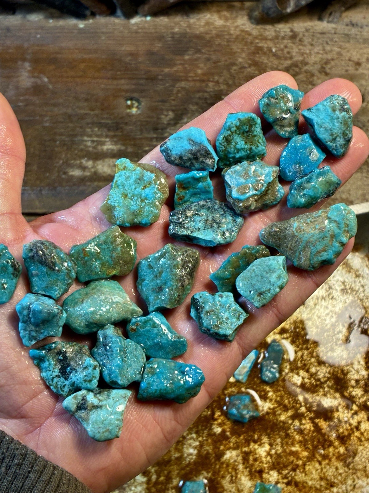 1 Lb. Ithaca Peak, Real Turquoise! Electric blues! High in matrix. ❤️‍🔥3 Left!