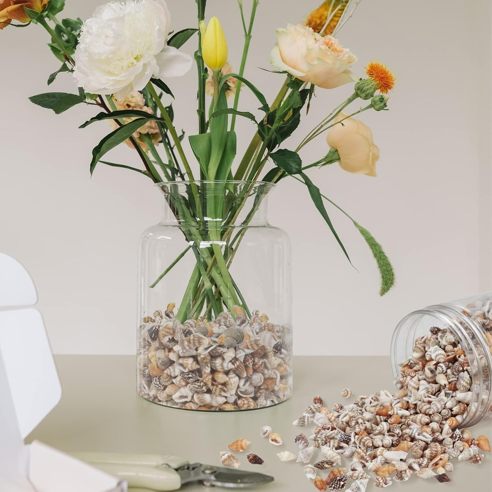 2000 Pcs Tiny Sea Shells for Crafting,Mixed Ocean Beach Mini Seashells Bulk f...