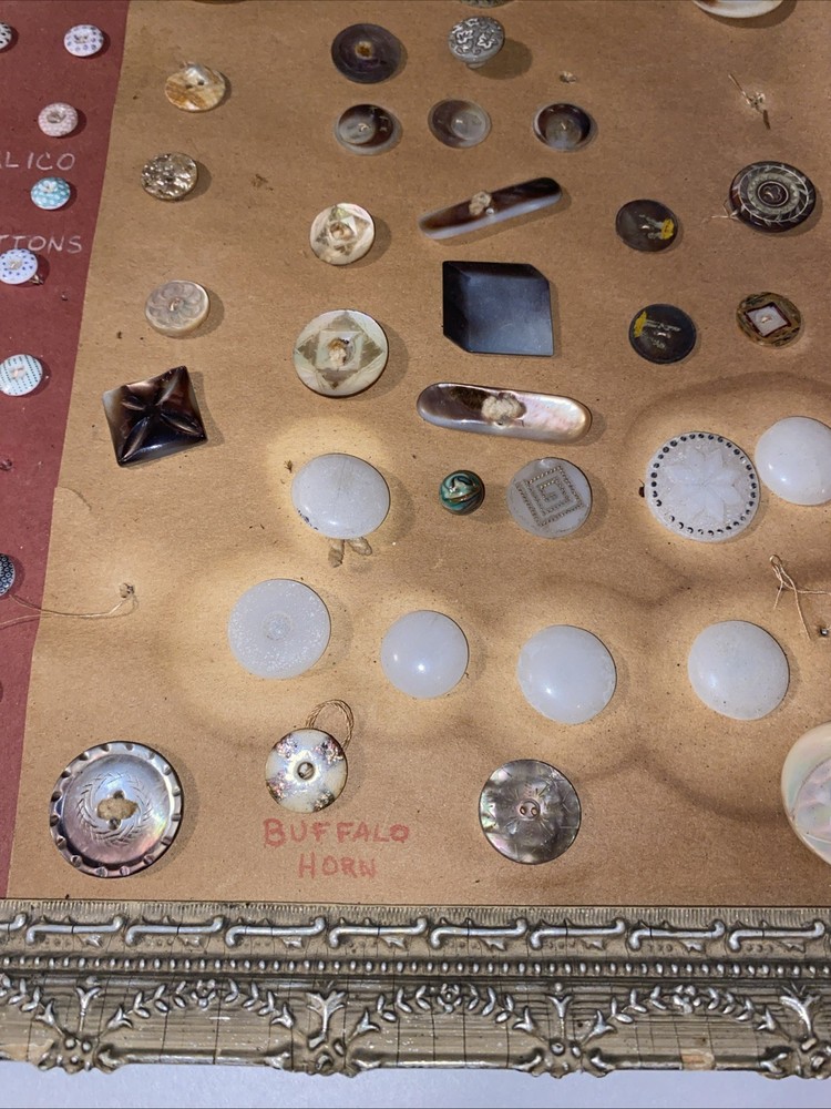 Antique Button Display Lot Victorian