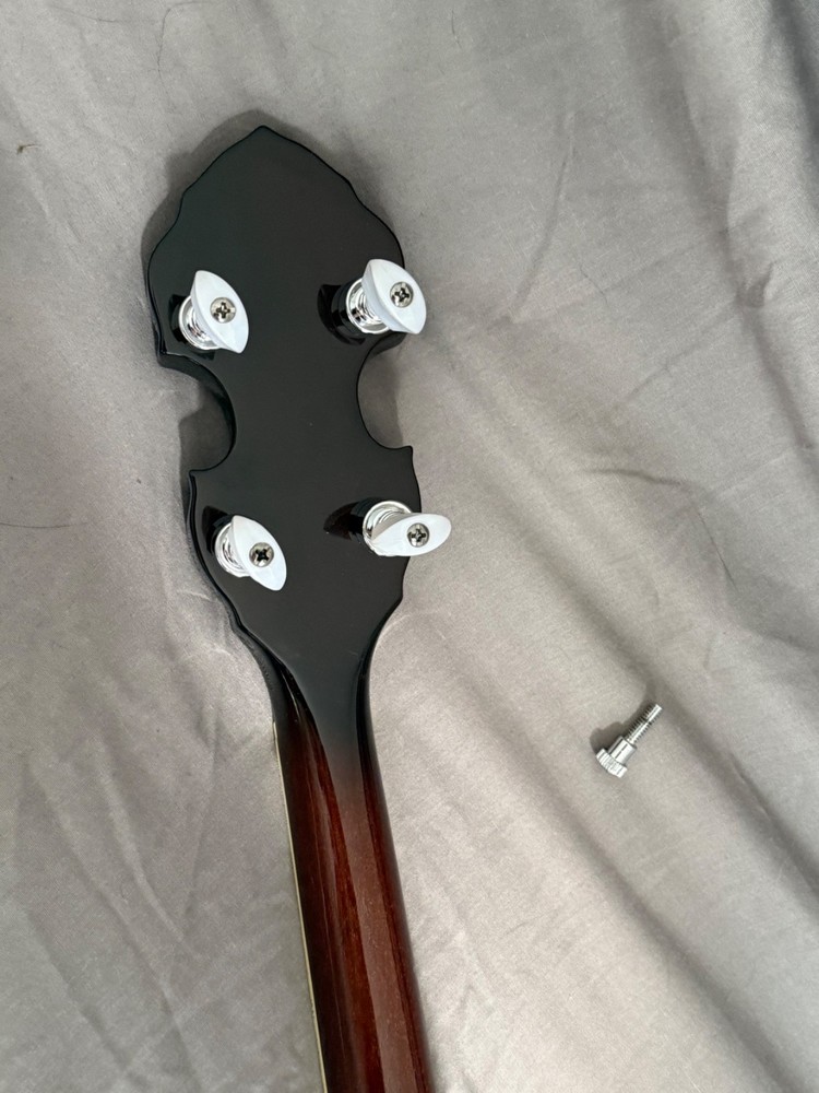 Tyler Mountain 5-String Banjo