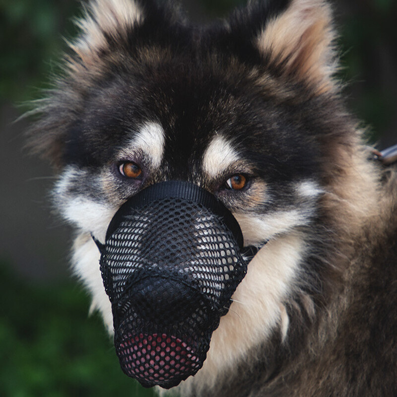 Dog Muzzle Anti Stop Bite Barking Chewing Mesh Mask Training Pet Small Large US