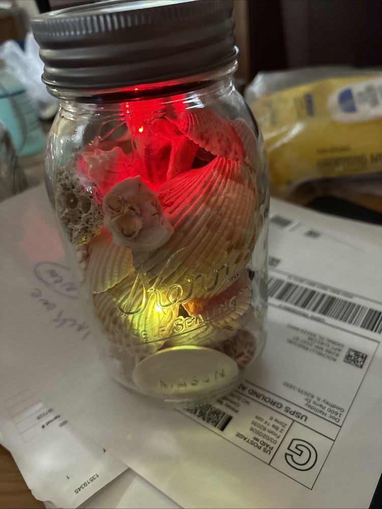 Shells In Lighted Jar