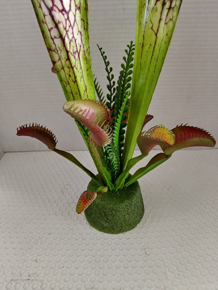 Pitcher plant and Venus Flytrap Decoration