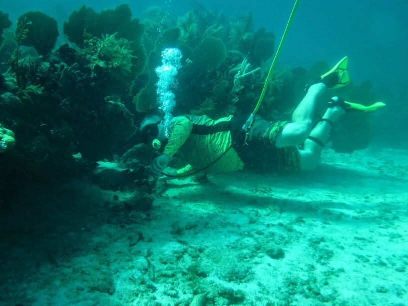 Hookah Diving 5 micron filter with Gator Gills POLY FIBER CARBON element design.