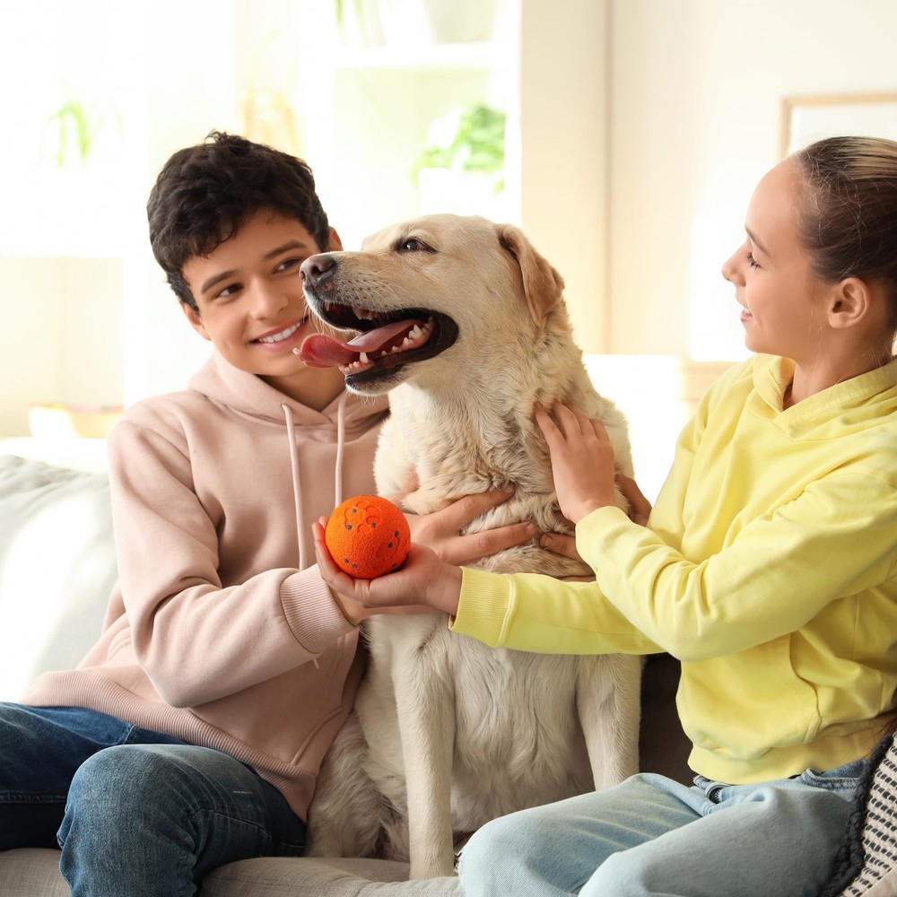 Interactive Dog Toy, Smart Moving Ball with 2 Play Modes, E-TPU Material, USB...
