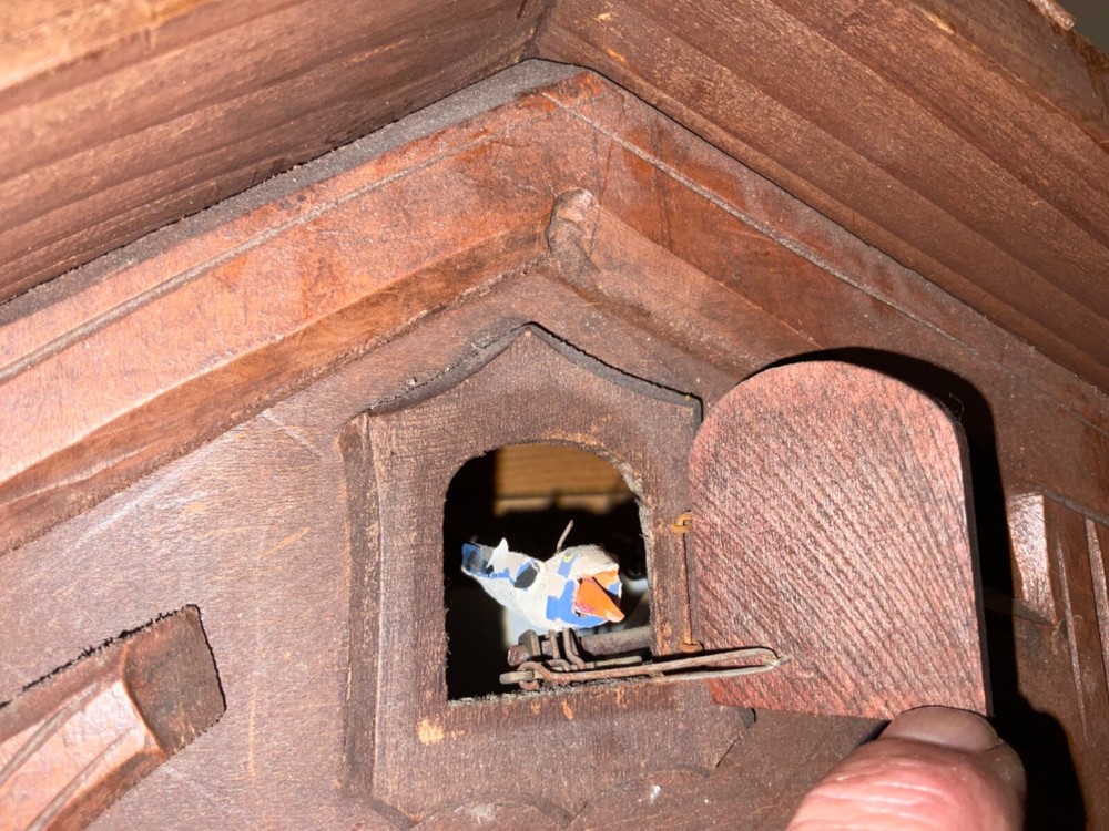 Hubert Herr Triberg Germany Working