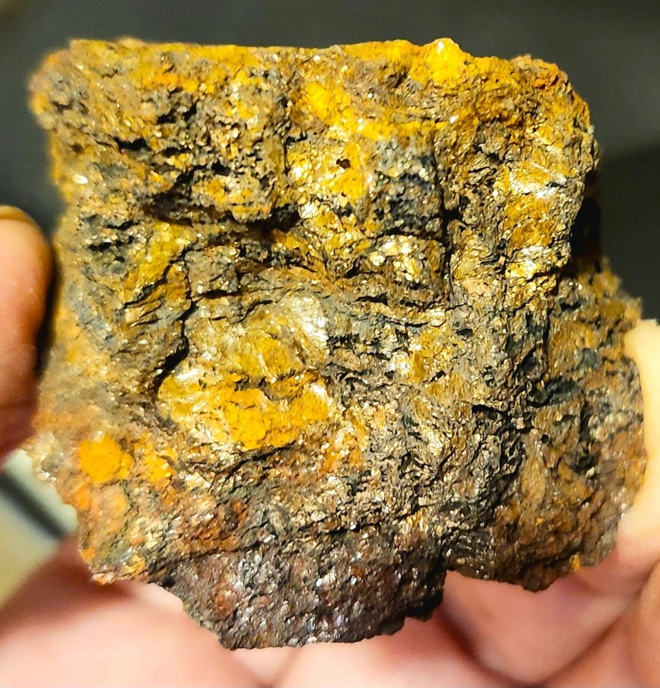 Gold Ore Specimen / Visible Gold