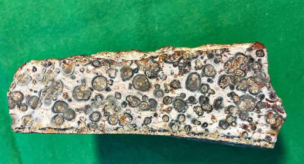 SPOTTED JASPER FOR LAPIDARY WORK - ONE FLAT FACE