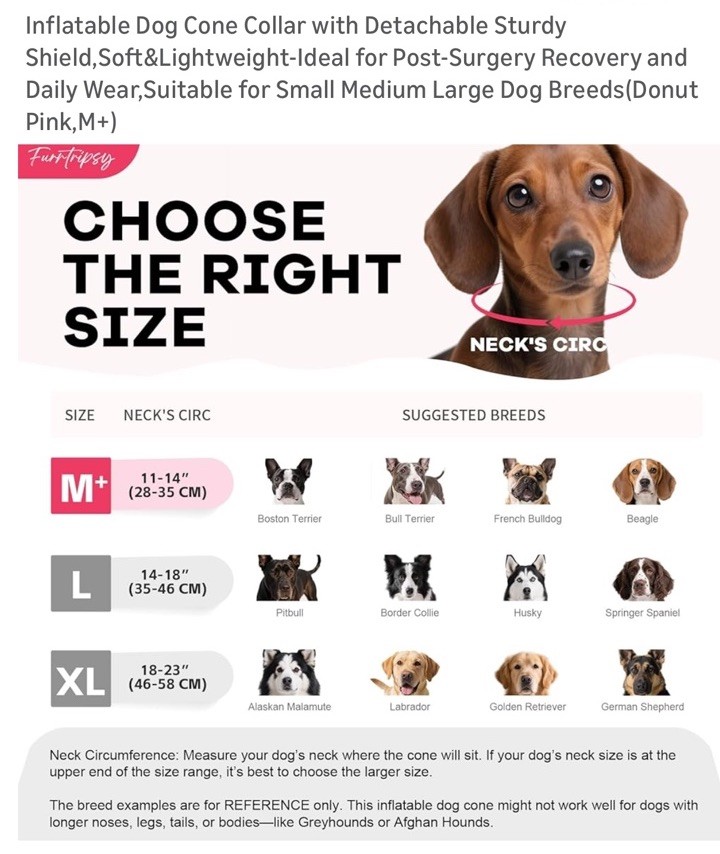 Inflatable Dog Cone Collar with Detachable Sturdy Shield,Soft&Lightweight Medium