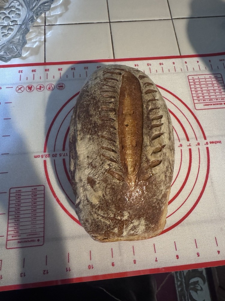 Dehydrated Sourdough Starter