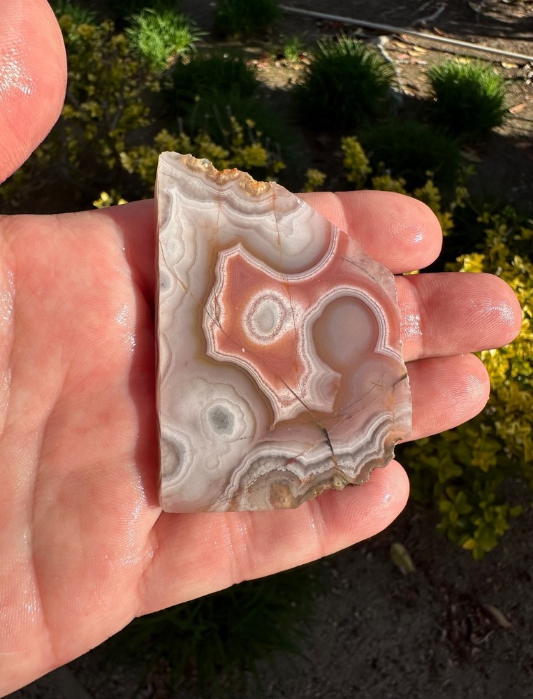 Laguna Agate Slab, 33grams, Cabbing/Lapidary