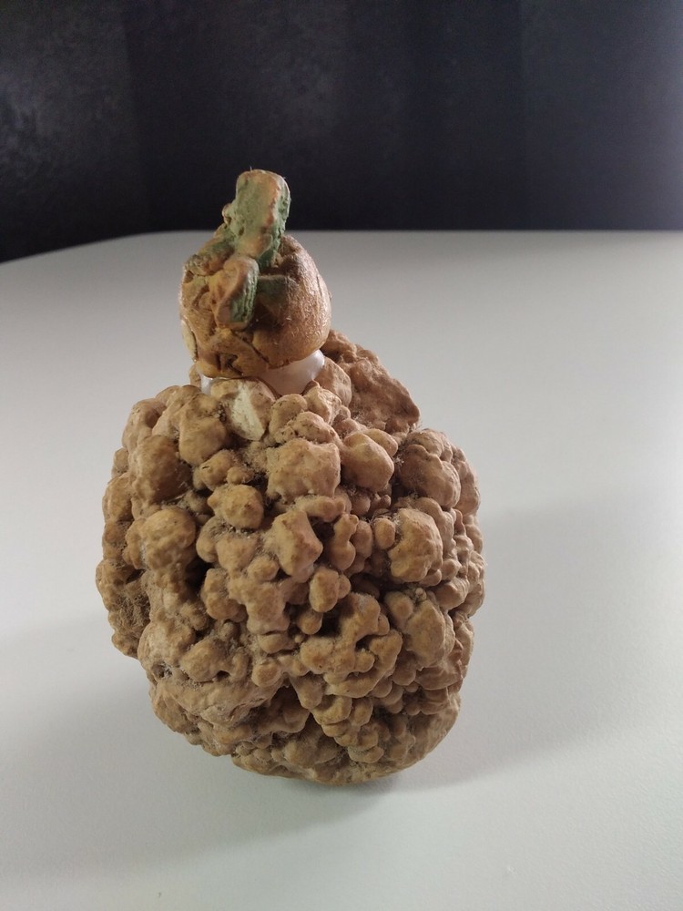 Dragon Hatching Sculpture Egg D&D GOT Paperweight
