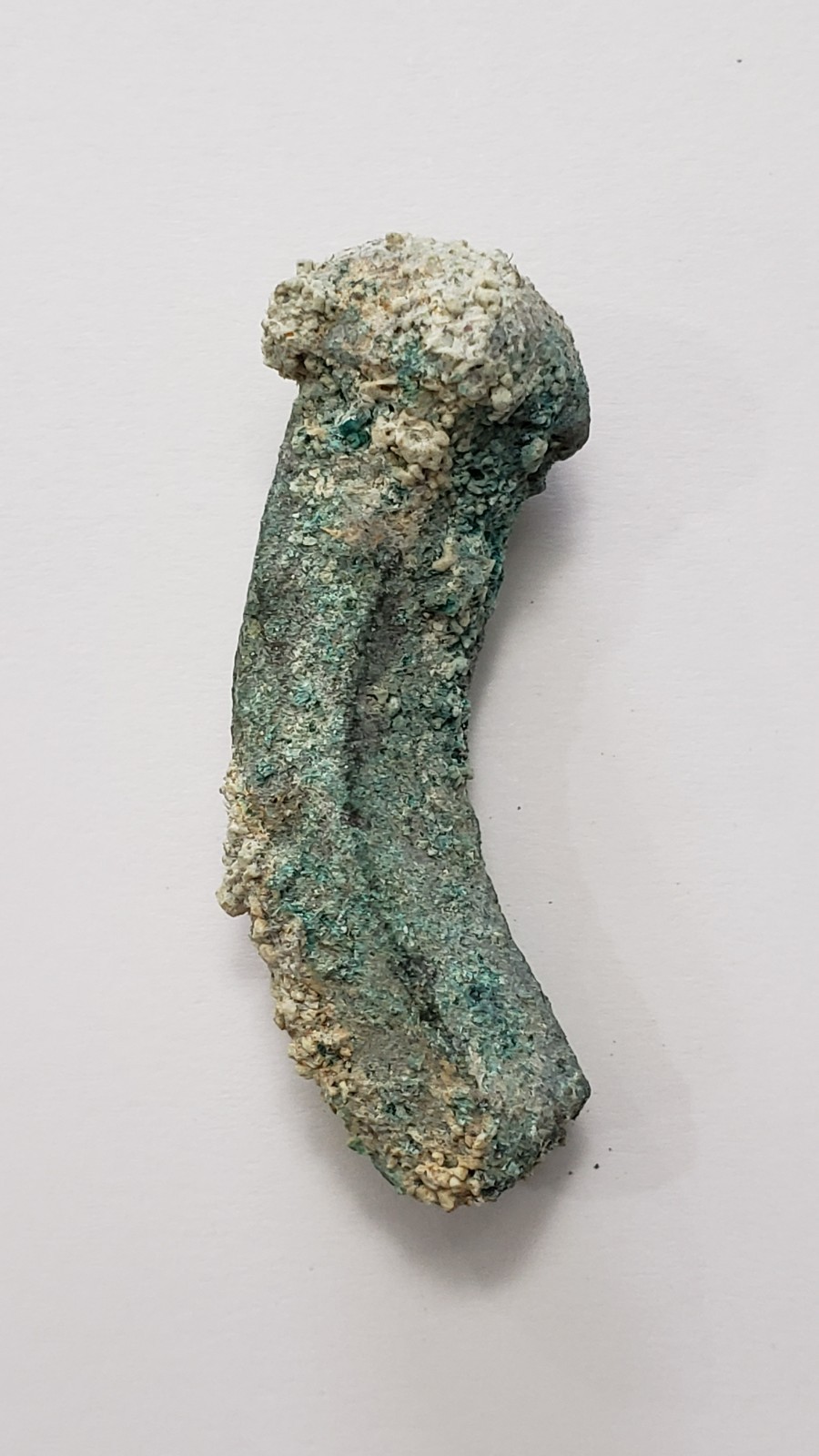 Shipwreck Bronze Spike Possibly 1715 Fleet Spanish Treasure with COR #95