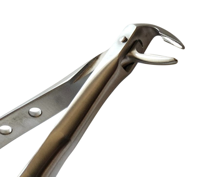 Root Tip Extracting Extraction Forceps Dental Instruments