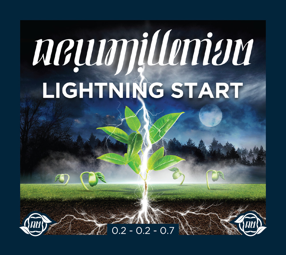 Lightning Start Root Stimulant - 32 fl oz by New Millenium