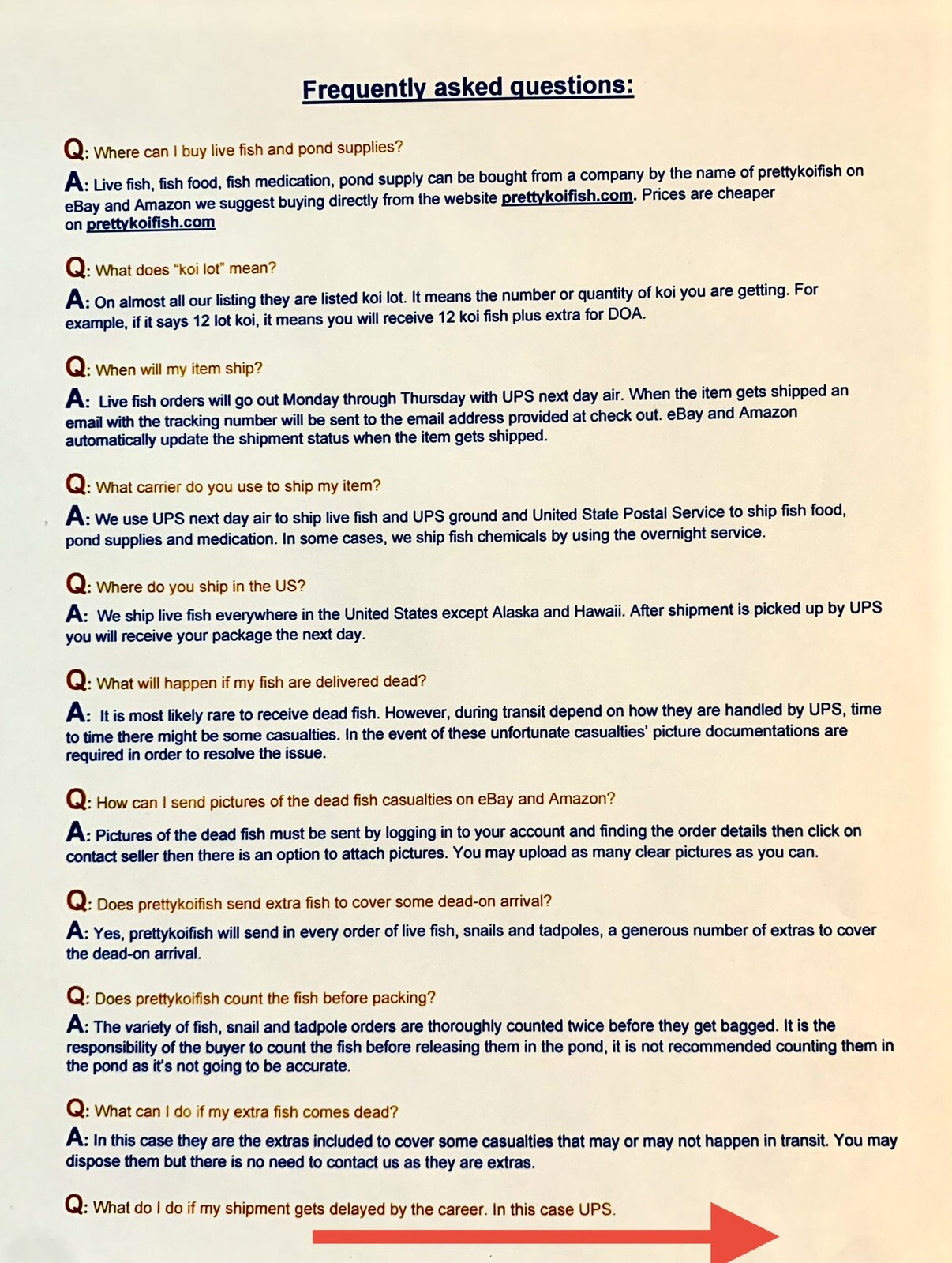 50-Lot Japanese Trapdoor snails algae eaters for koi pond garden pkf