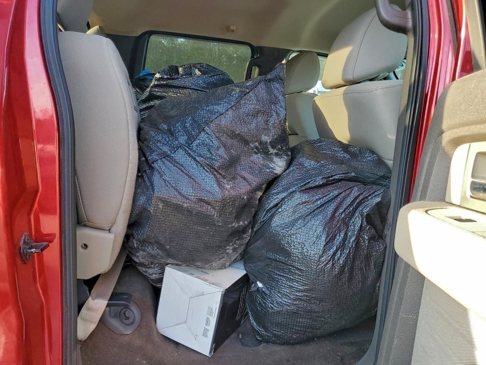 F150 2010 Glove Box 4979905