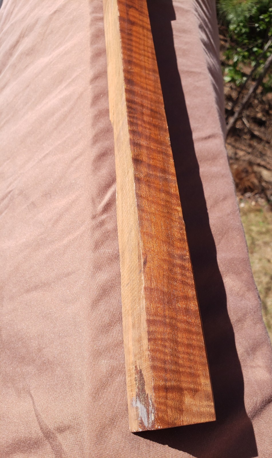 🔥 HIGHLY FIGURED CURLY TIGER CLARO WALNUT MUZZLELOADER RIFLE HAWKEN STOCK Blank