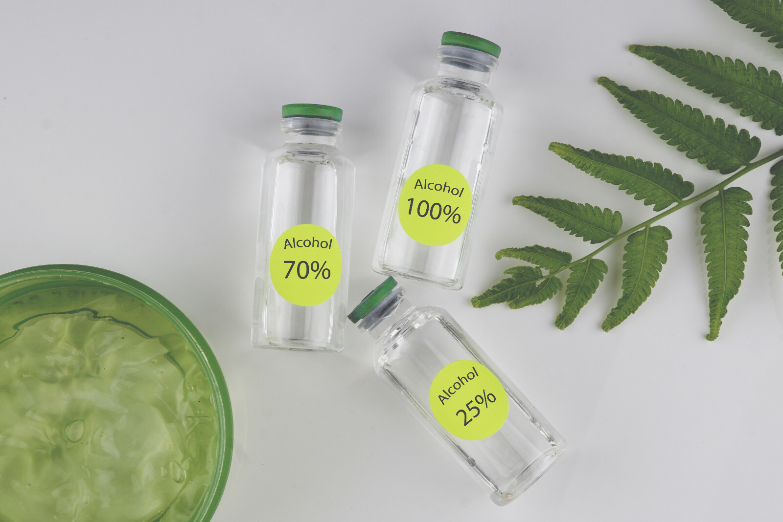 Color Coding Labels Dots Stickers 1 Inch Rounded Circle 25mm Dots by Royal Green