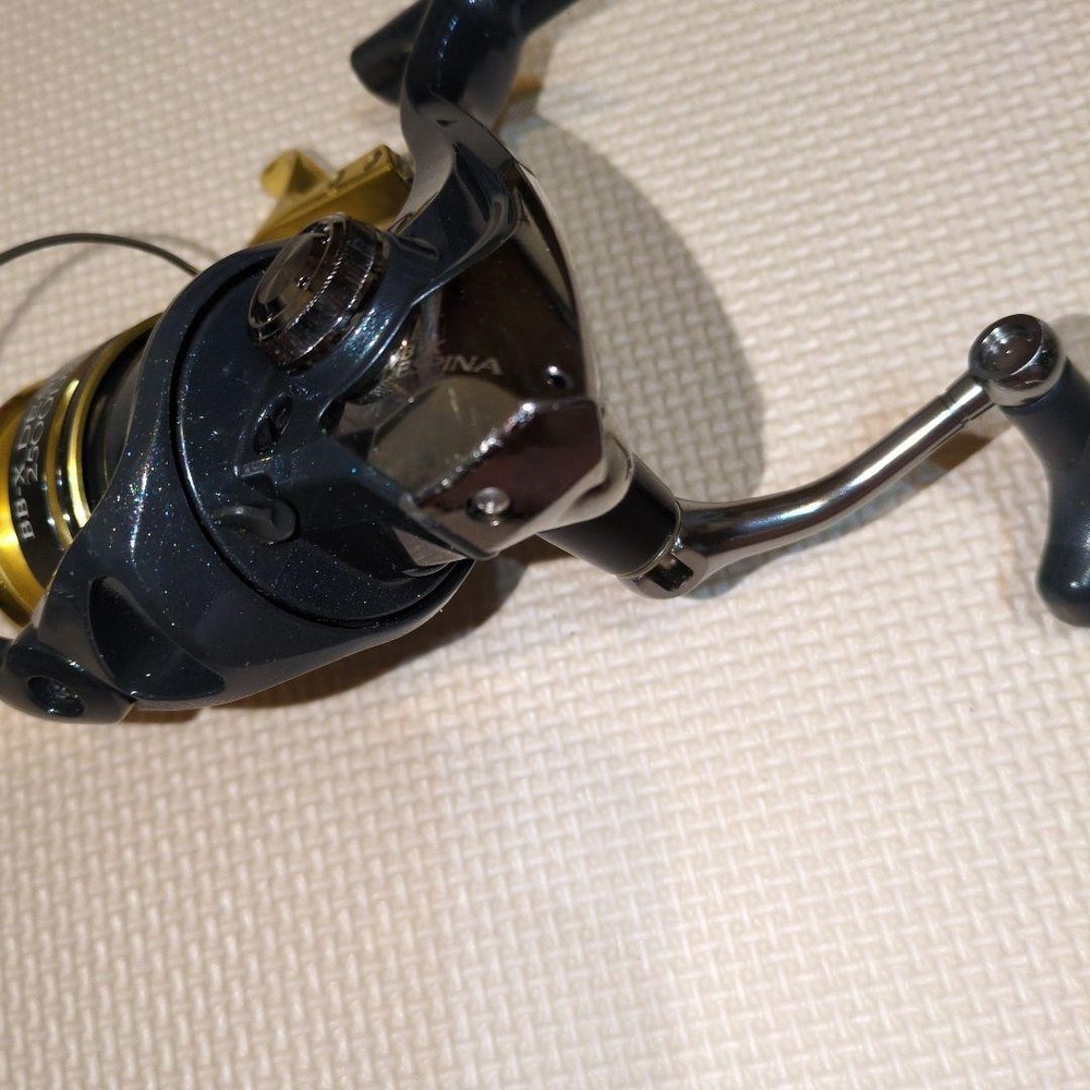 BB-X DESPINA 2500DXG
