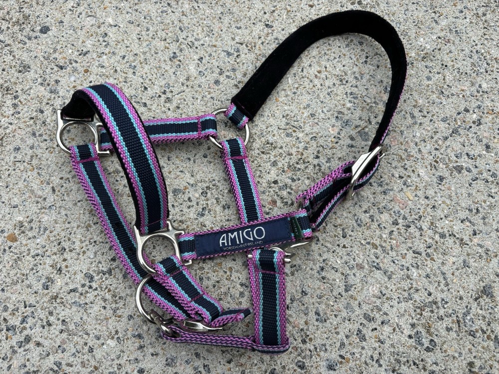 Pony Size Amigo Halter