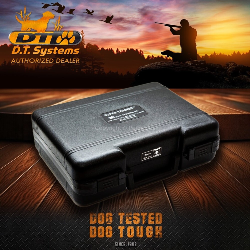 DT Systems H2O 1850 PLUS Remote Dog Trainer Beeper