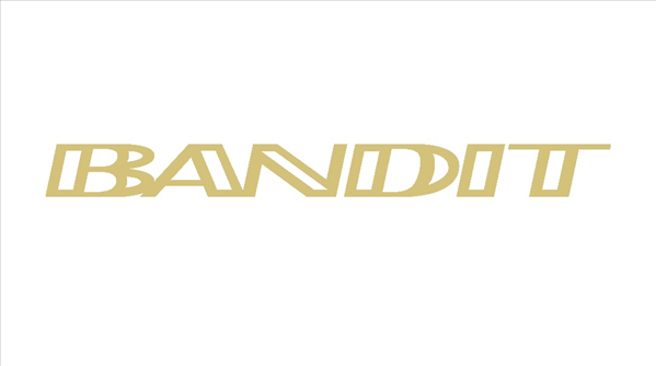 Trans Am Gold Bandit Decal