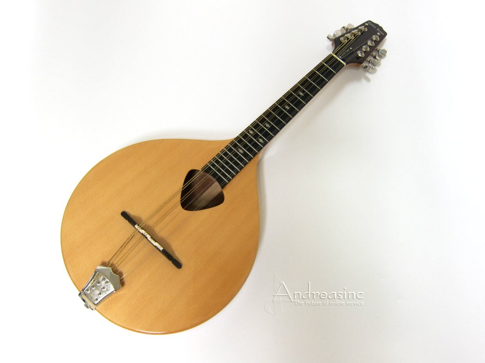 GOLD TONE 8-STRING SOLID SPRUCE MANDOLA w/ BAG ~ VIOLA MANDOLIN LUTE
