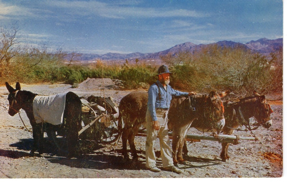 GOLD PROSPECTOR  - PC3465