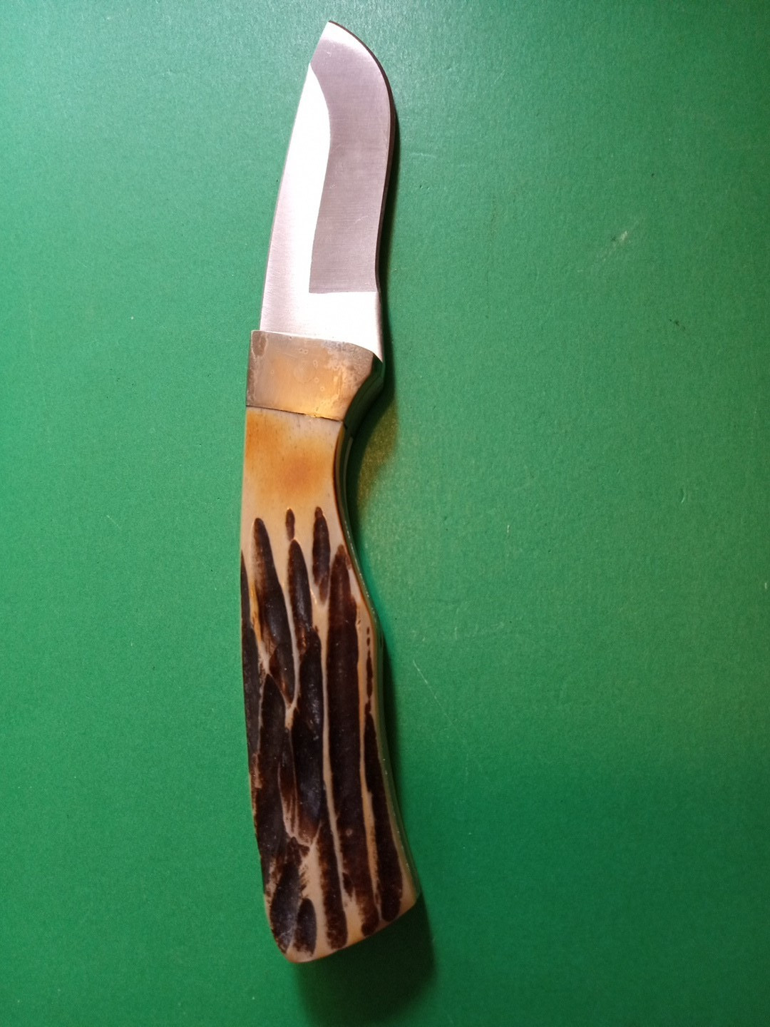 Bear and Son Cutlery USA India Stag Fixed Blade Knife NOS Box and Sheath