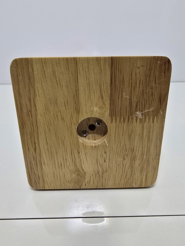 Evotech Mini Human Torso 10 inch Science Learning School