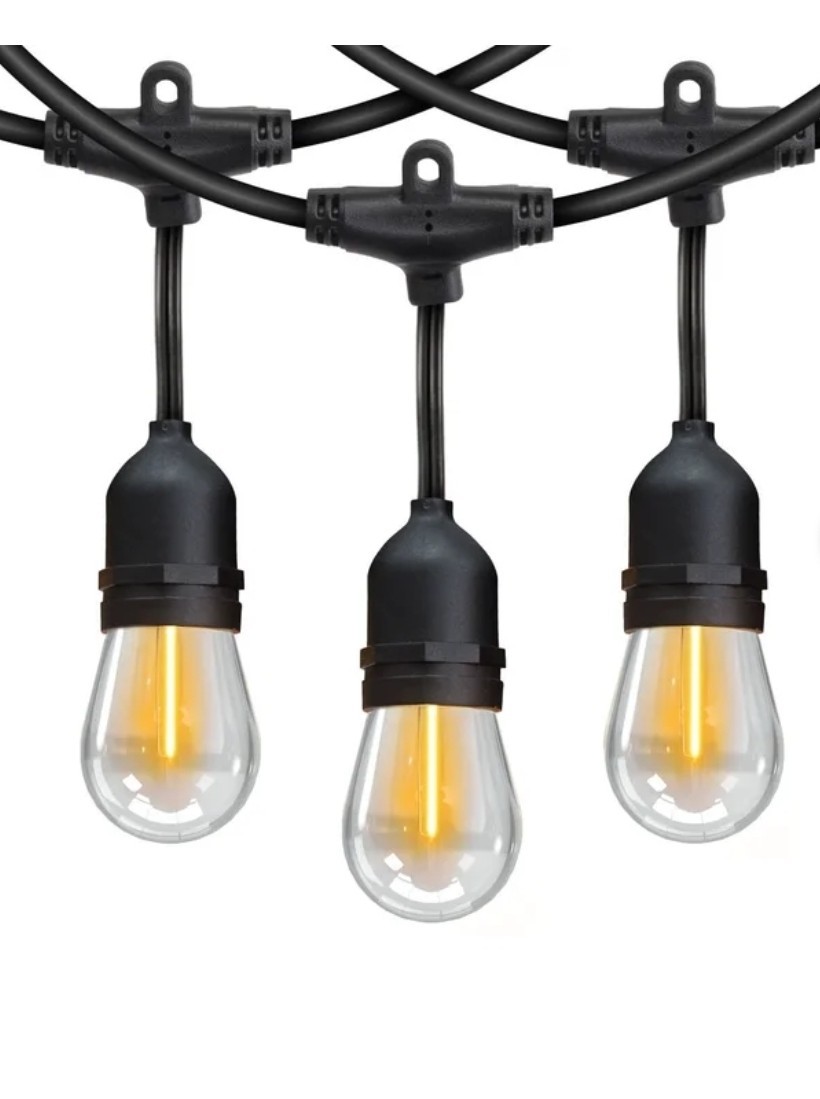 Feit Electric 48' LED Filament String Light 24 bulbs waterproof Indoor/outdoor