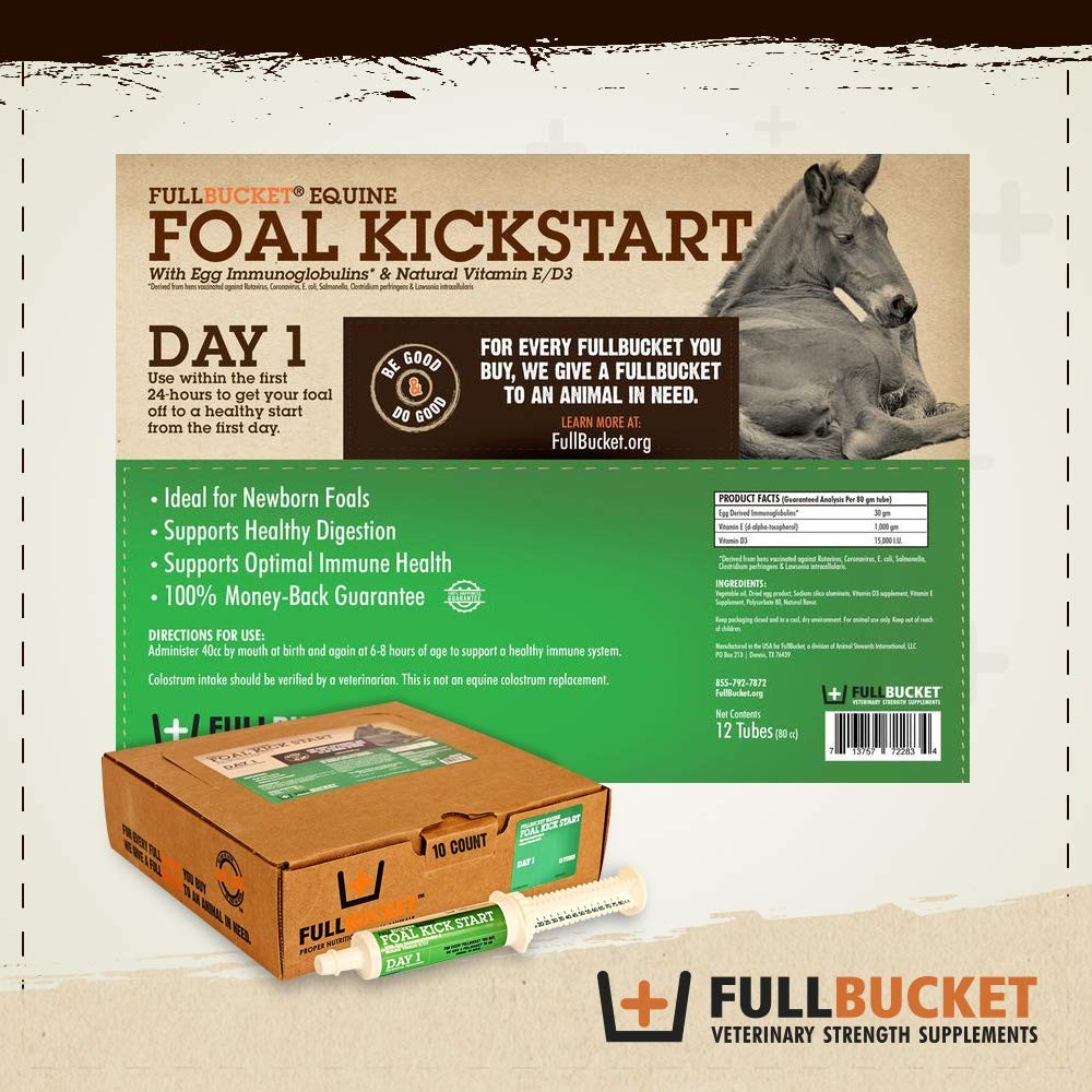 Foal Kick Start Immune Paste 80ml