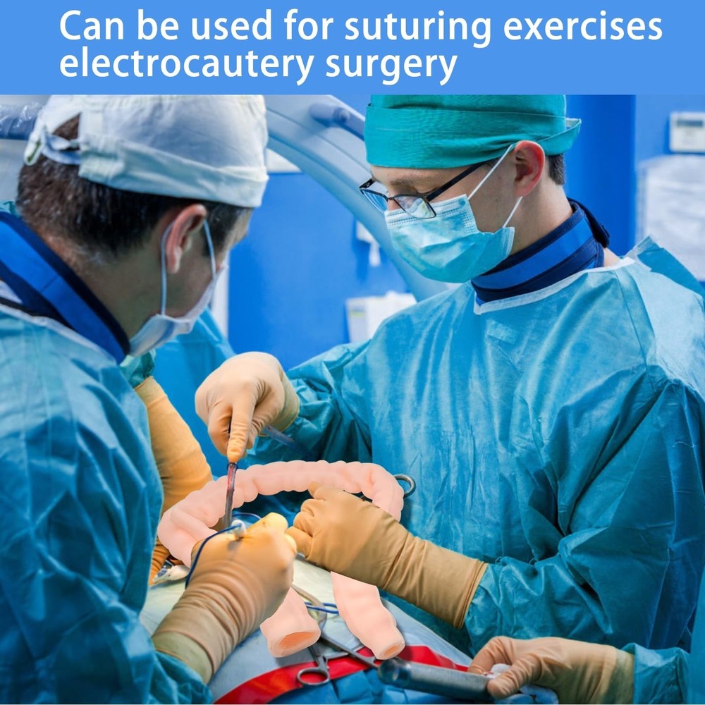 Large Intestine Model,Colon Suturing Practice,Electrocautery Practice, Unders...