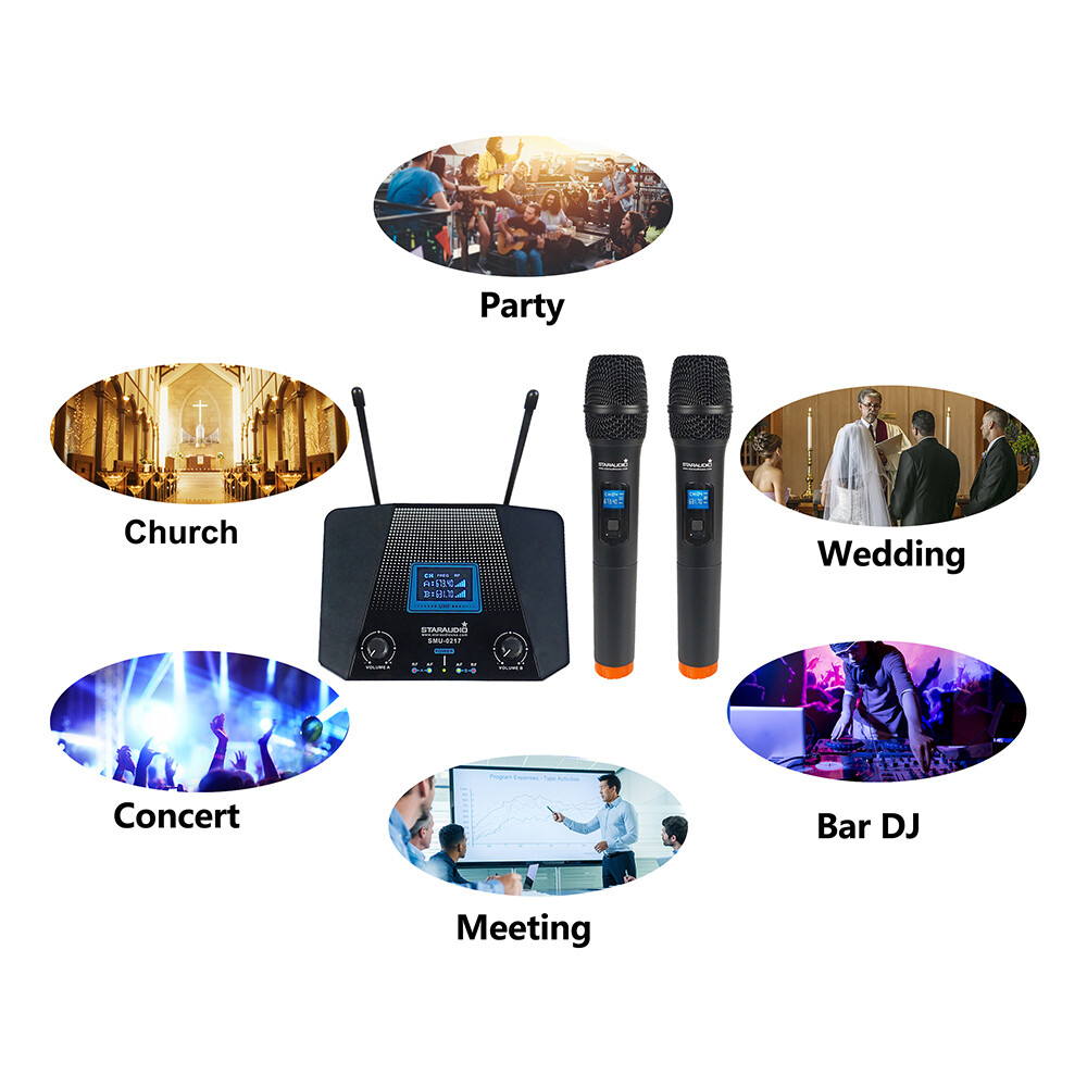 2 Channel UHF Wireless Microphone System 2CH UHF Handheld Microphone Studio Mic