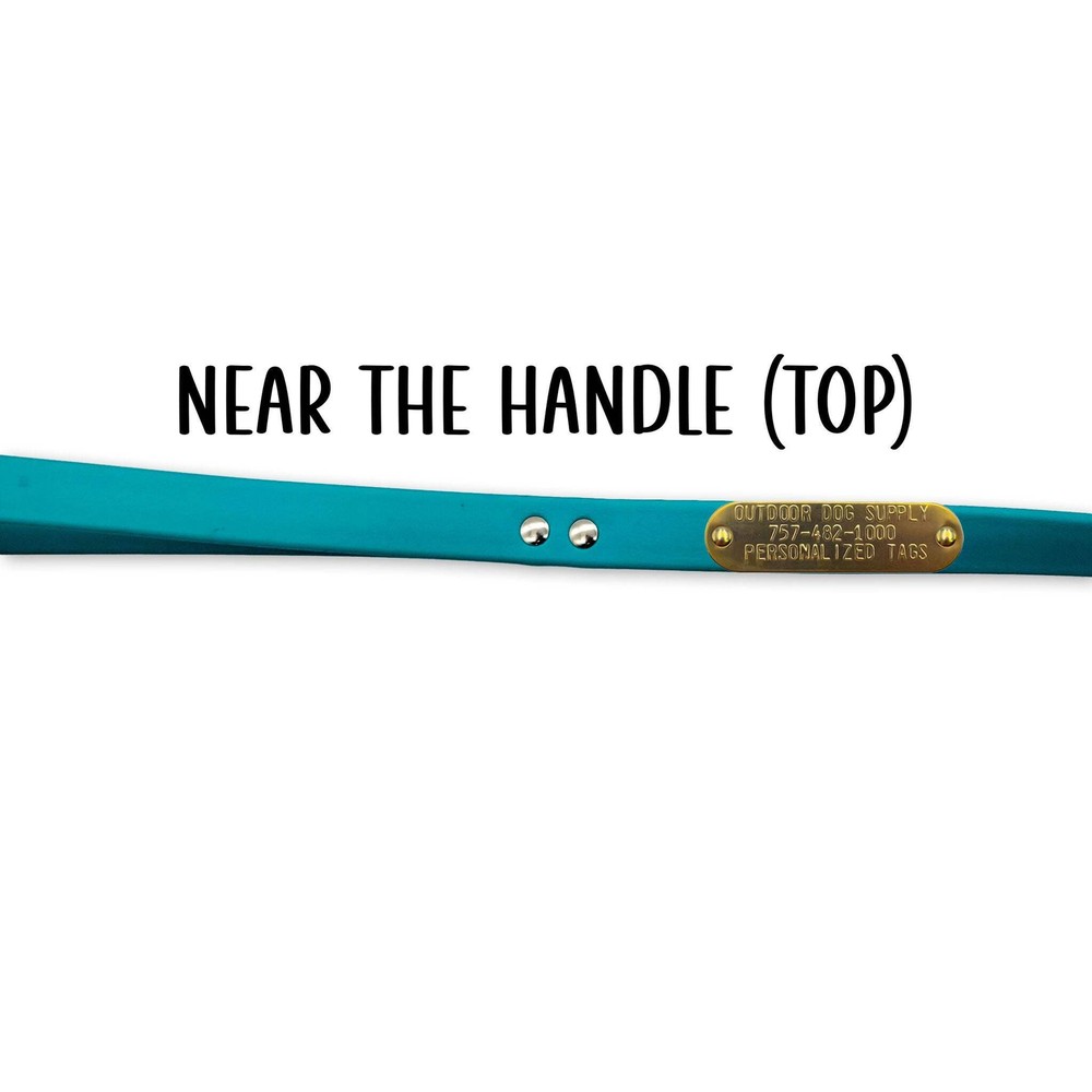 5 ft Beta & Cable Lead Leash