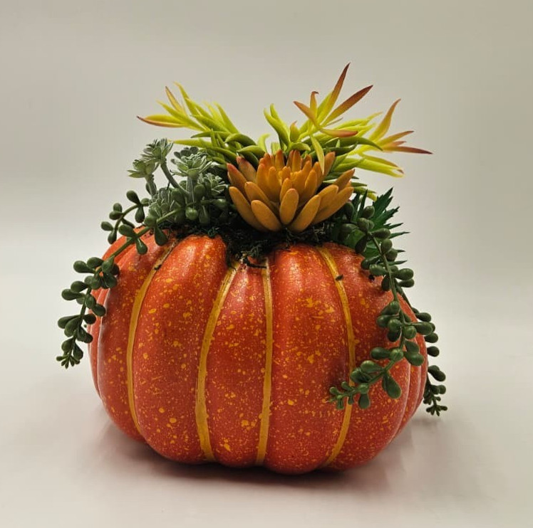 8" Pumpkin Succulent Decoration Fall Autumn Desk Window Office Computer