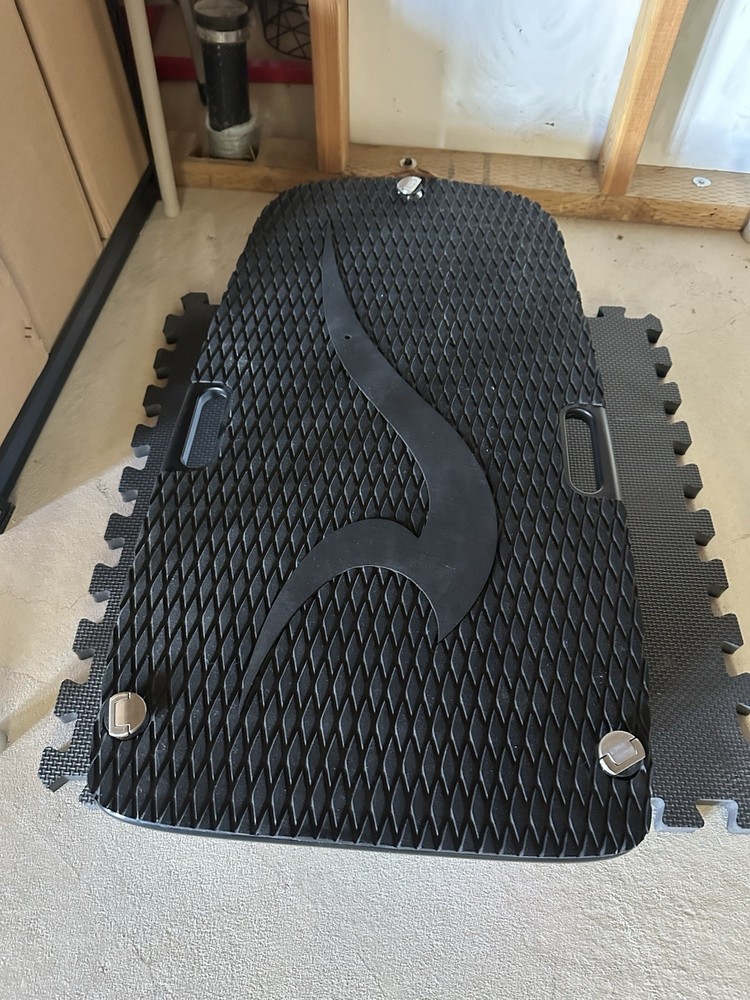 Needs Work - Please Read - Radinn Extended Range Battery & Charger!
