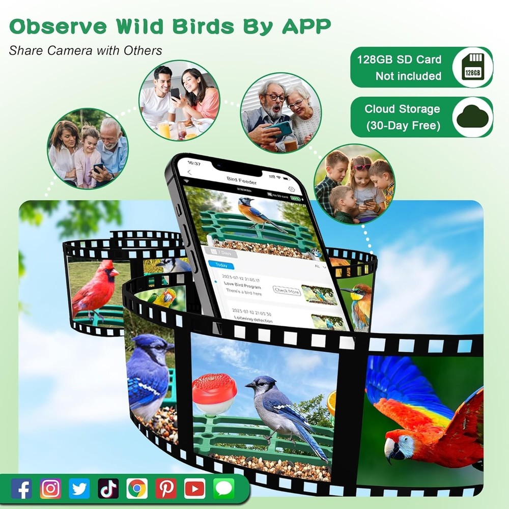 Smart AI Bird Feeder Solar-Powered Camera Auto Identifier Live View Weatherproof