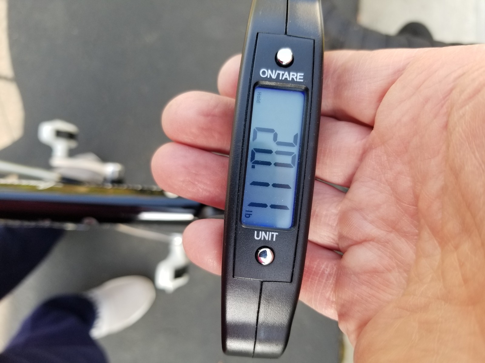 2003 Raleigh Professional, 56cm Columbus Steel Frame, Campagnolo Chorus Group