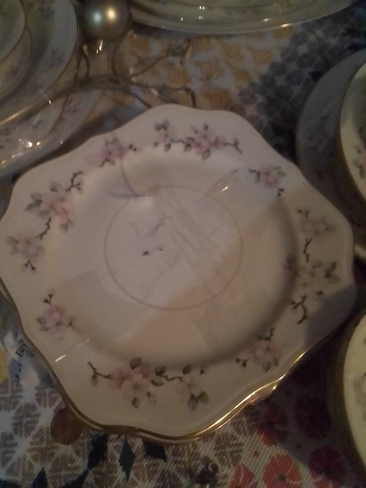 Vintage Eggshell Nautilus