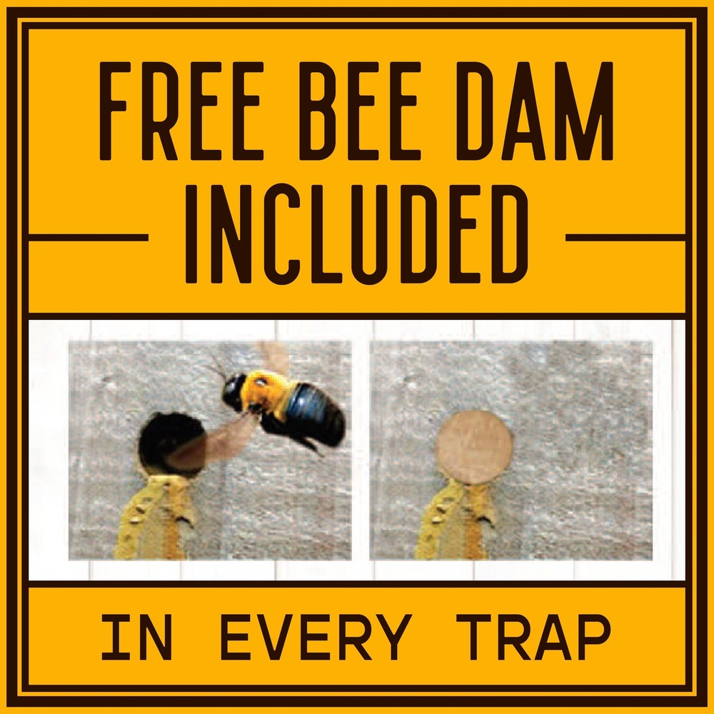 Bees N Things Outdoor Carpenter Bee Trap