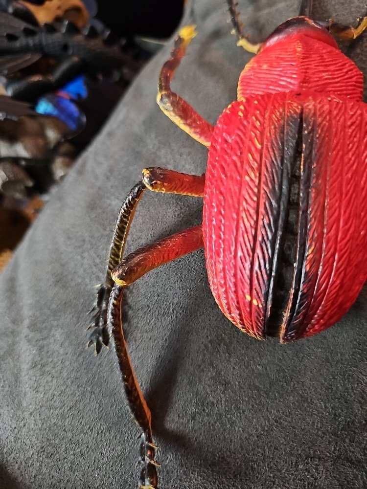 Unbranded Large Plastic Bug (7inx.5inx6in)