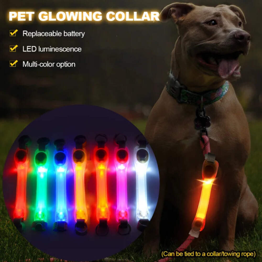Dog Anti Lost Collar