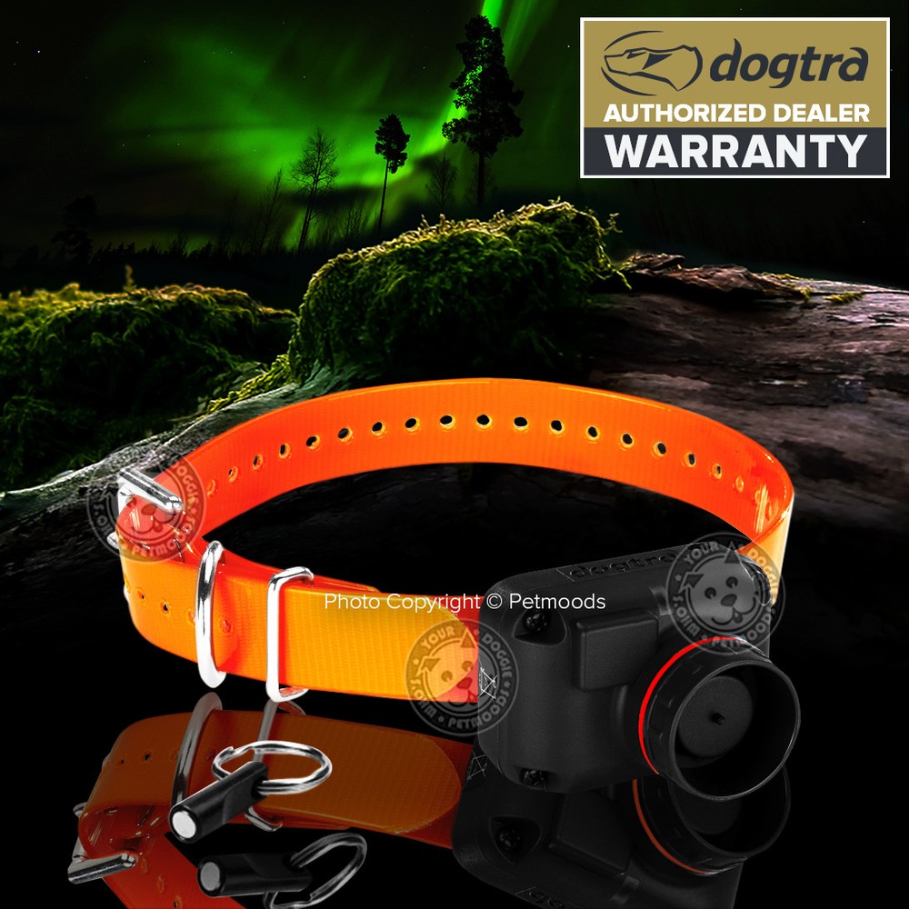 Dogtra 2700T&B Remote Dog Training & Beeper Collar System Hunting Train / Beep