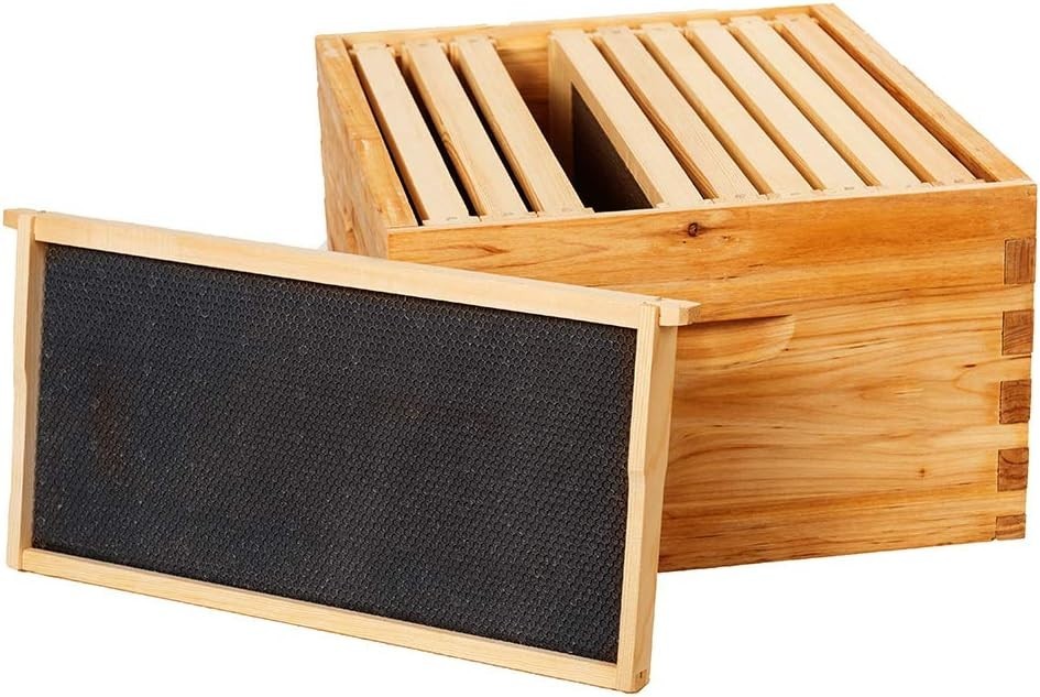 Durable Cedarwood Langstroth Deep Beehive Box with Beeswax Coating - 10 Frame