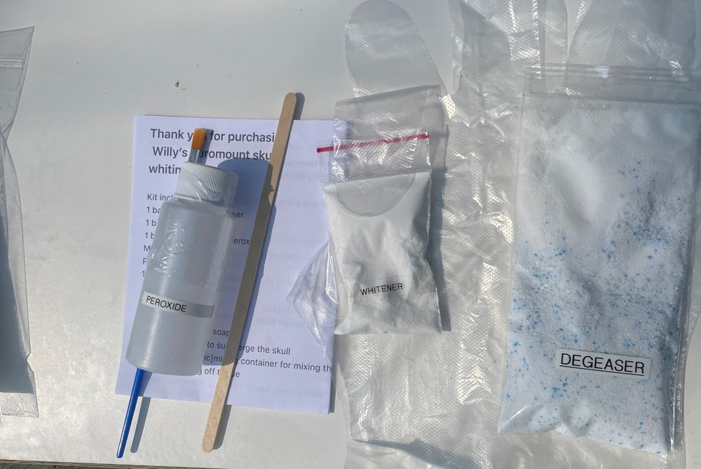 European Skull Whitening Kit